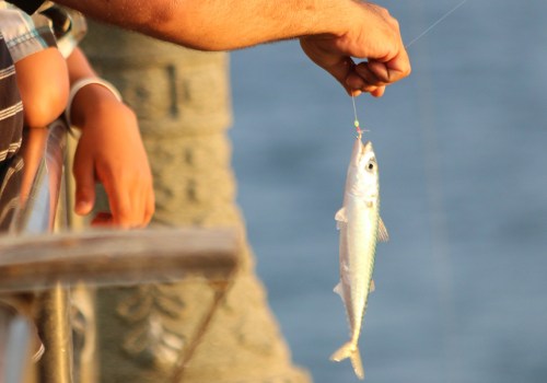 The Ultimate Guide to Fishing Events in Los Angeles County, CA